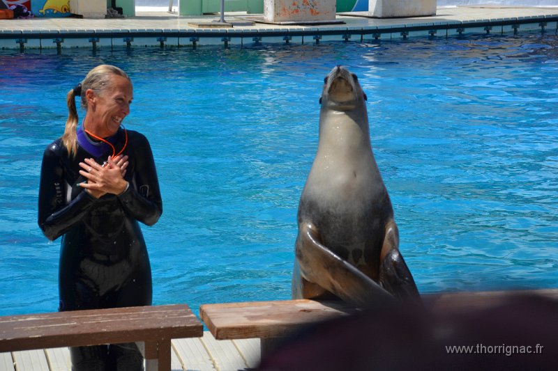 Marineland aout 2014 67.JPG - Marineland - Parc d'attractions aquatiques - Antibes - Août 2014